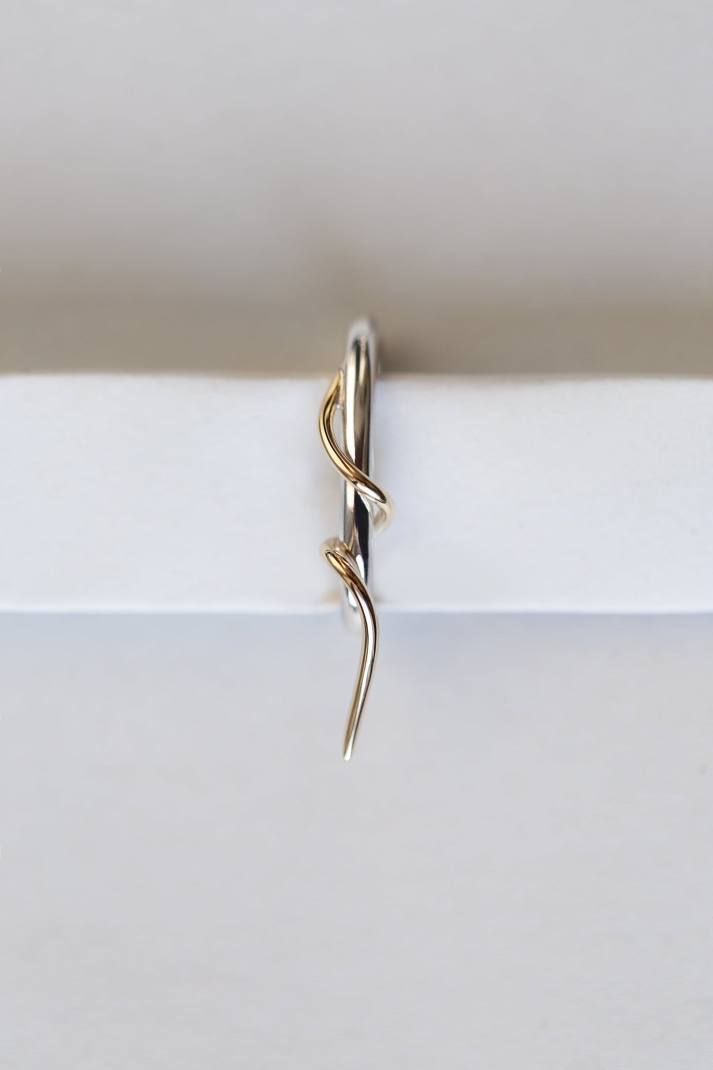 VINE HUG EARRING