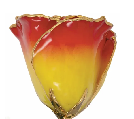 Lacquered Sunset Colored Rose with 24K Gold Trim