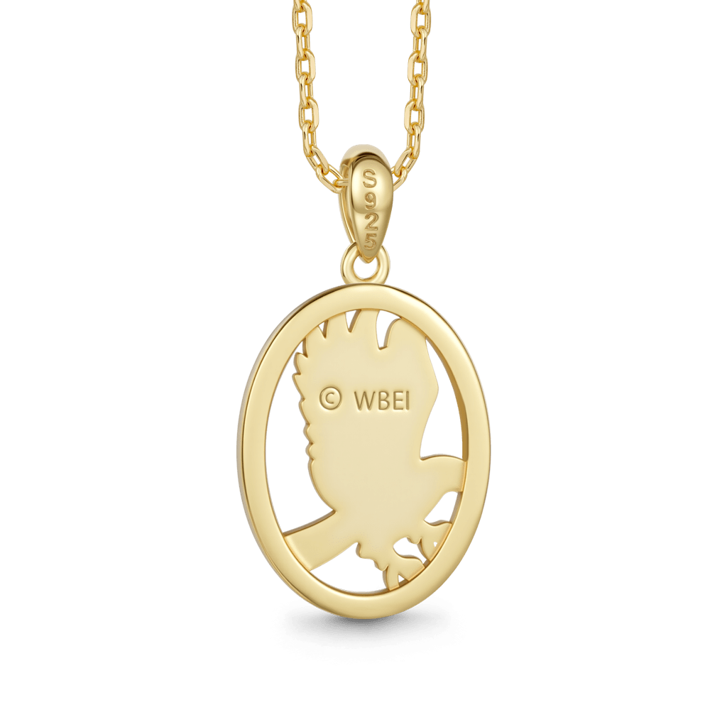 Gnoce Harry Potter Ravenclaw Eagle Necklace