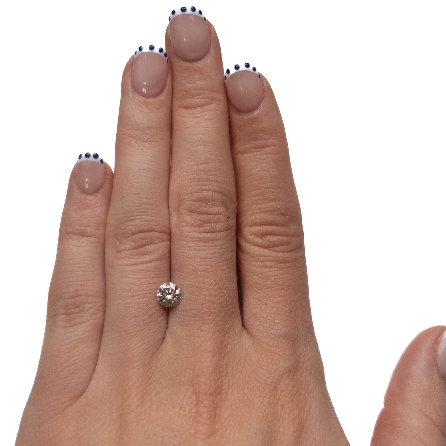 .90 Carat Salt and Pepper Brilliant Cut Round Diamond
