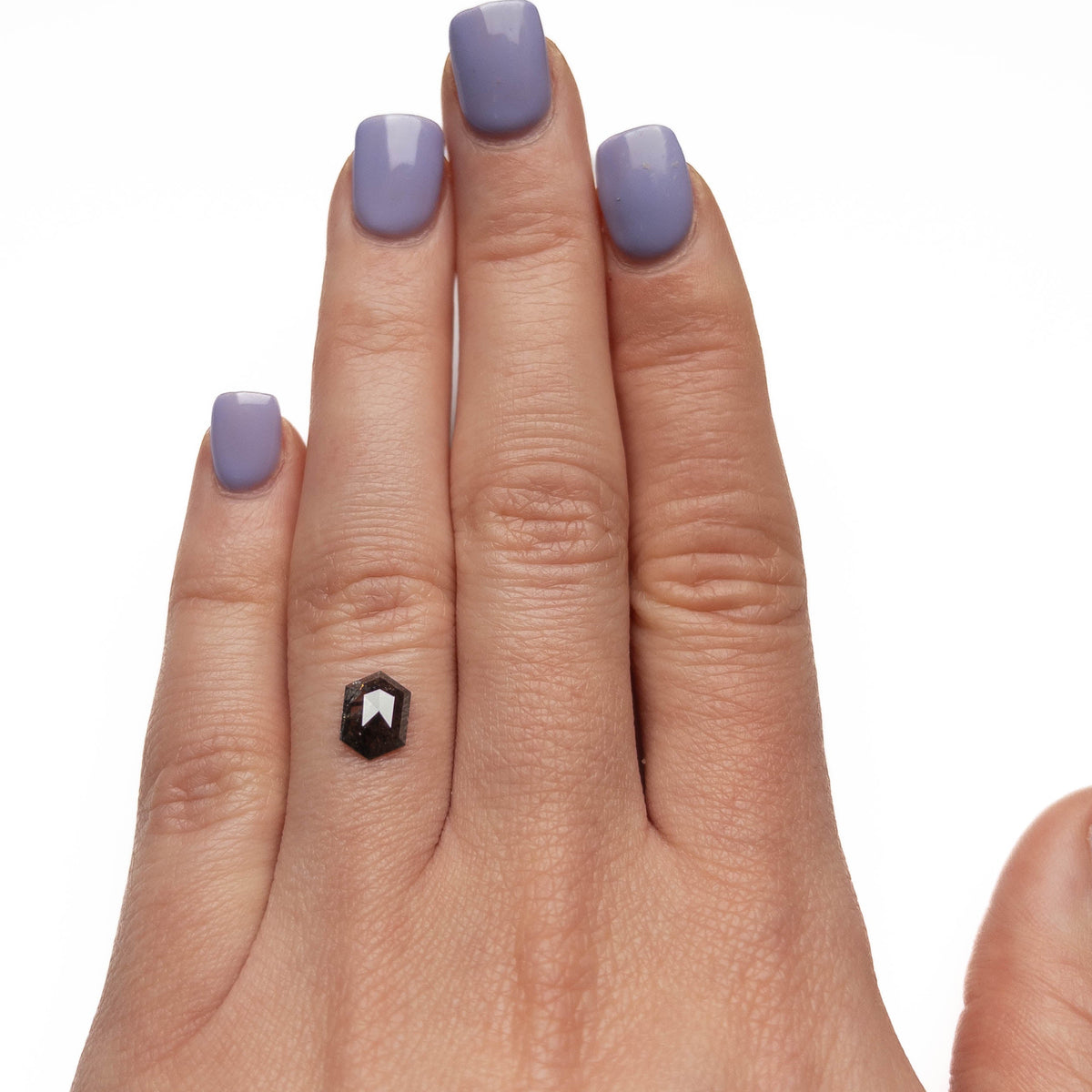 .84 Carat Black Salt and Pepper Rose Cut Hexagon Diamond