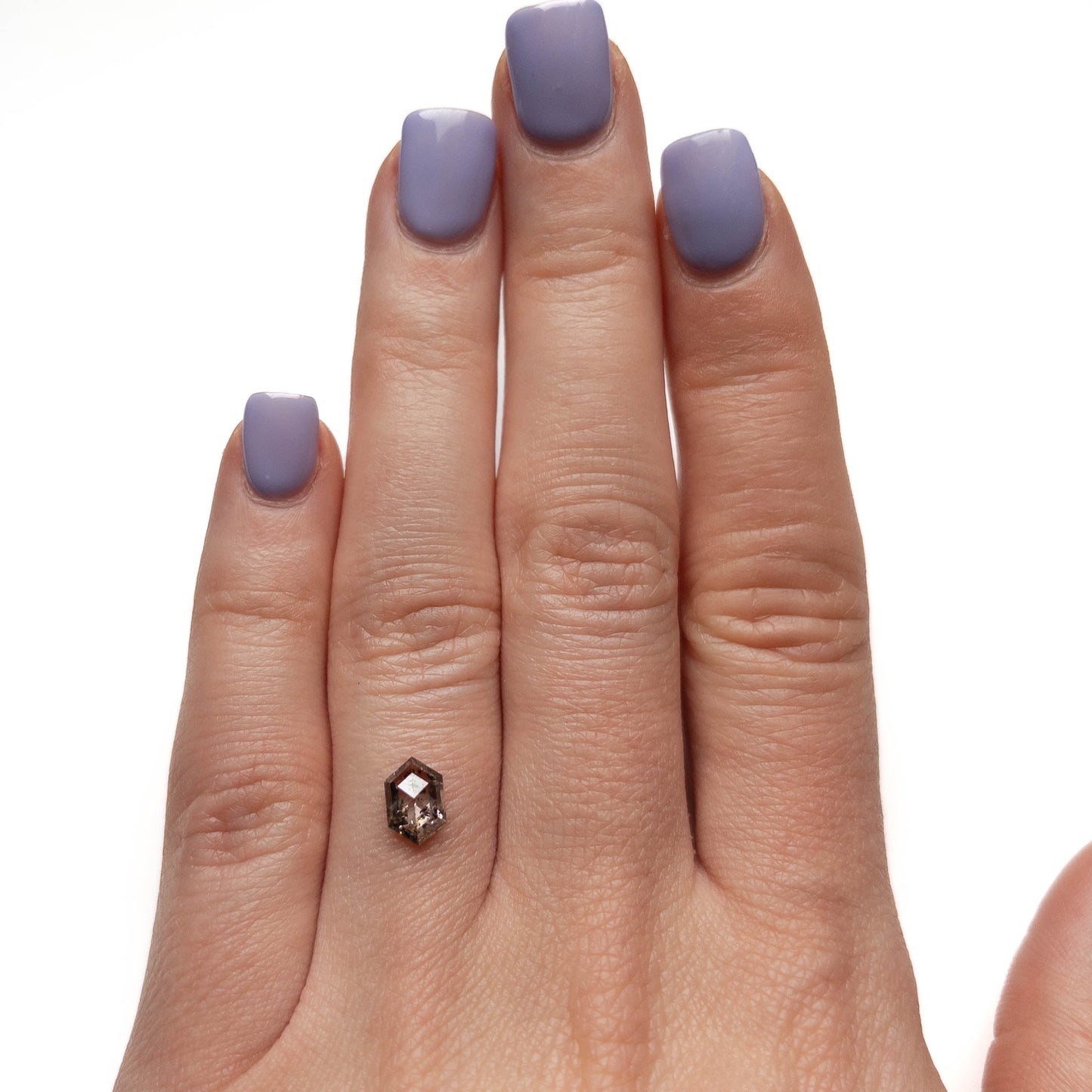 1.04 Carat Salt and Pepper Rose Cut Hexagon Diamond