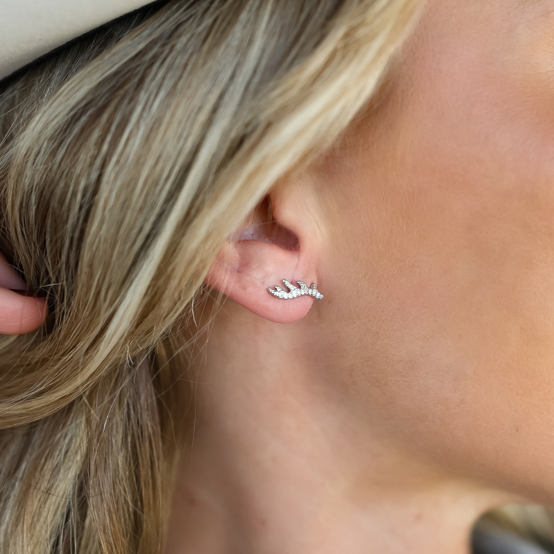 The Ash Studs