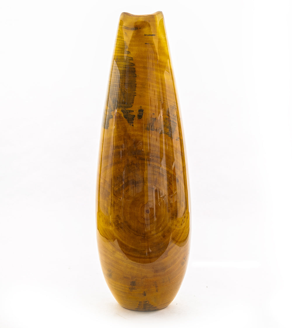 Norfolk Pine Vase #2602 by Dan Stevenson