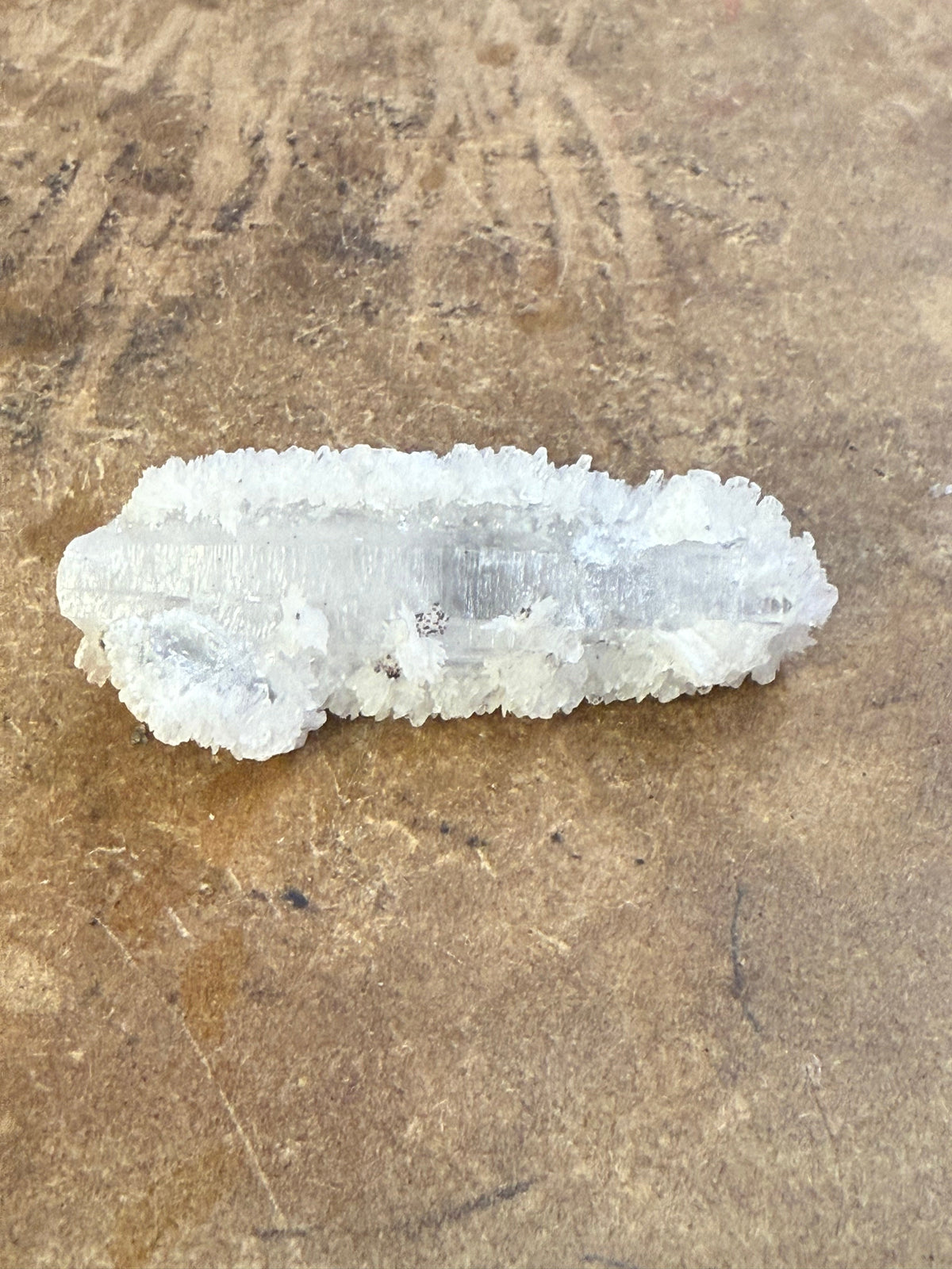 Clear Quartz Specimen (4)