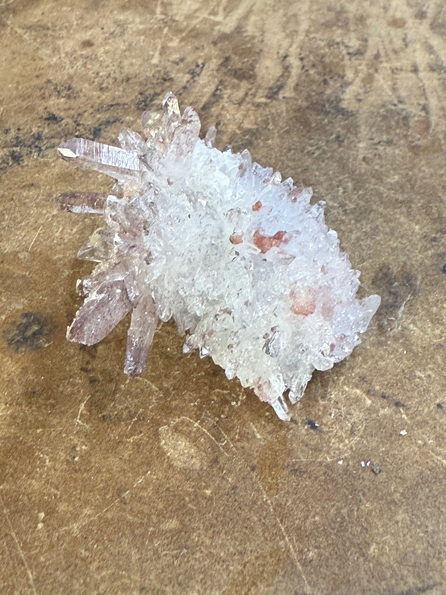 Clear Quartz Specimen (19)