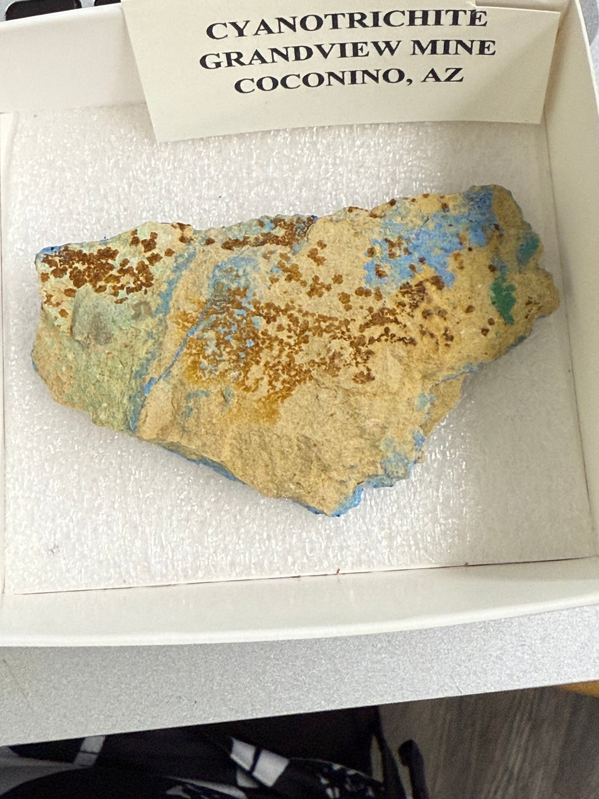 Cyanotrichite (1)