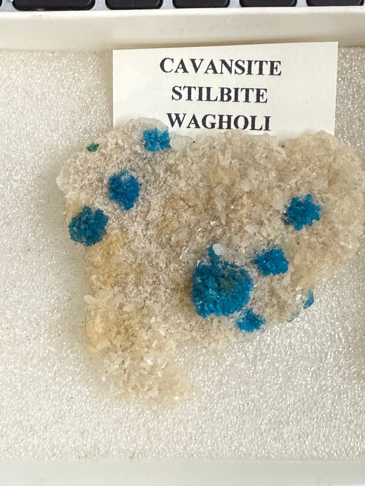 Cavansite on Stilbite (15)