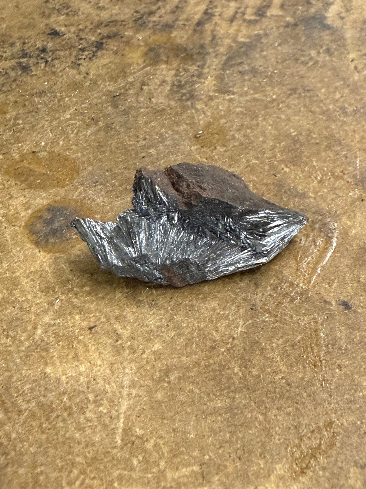 Pyrolusite (14)