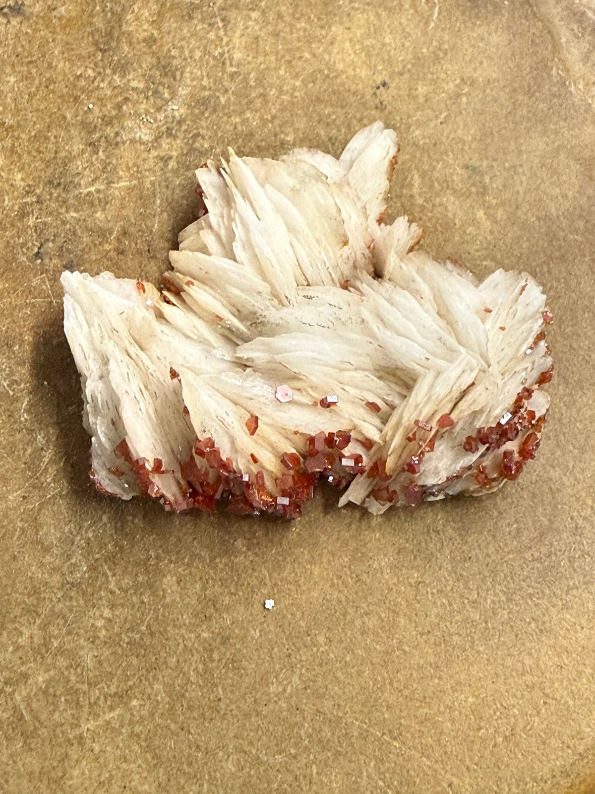 Vanadinite, Mibladen Morocco