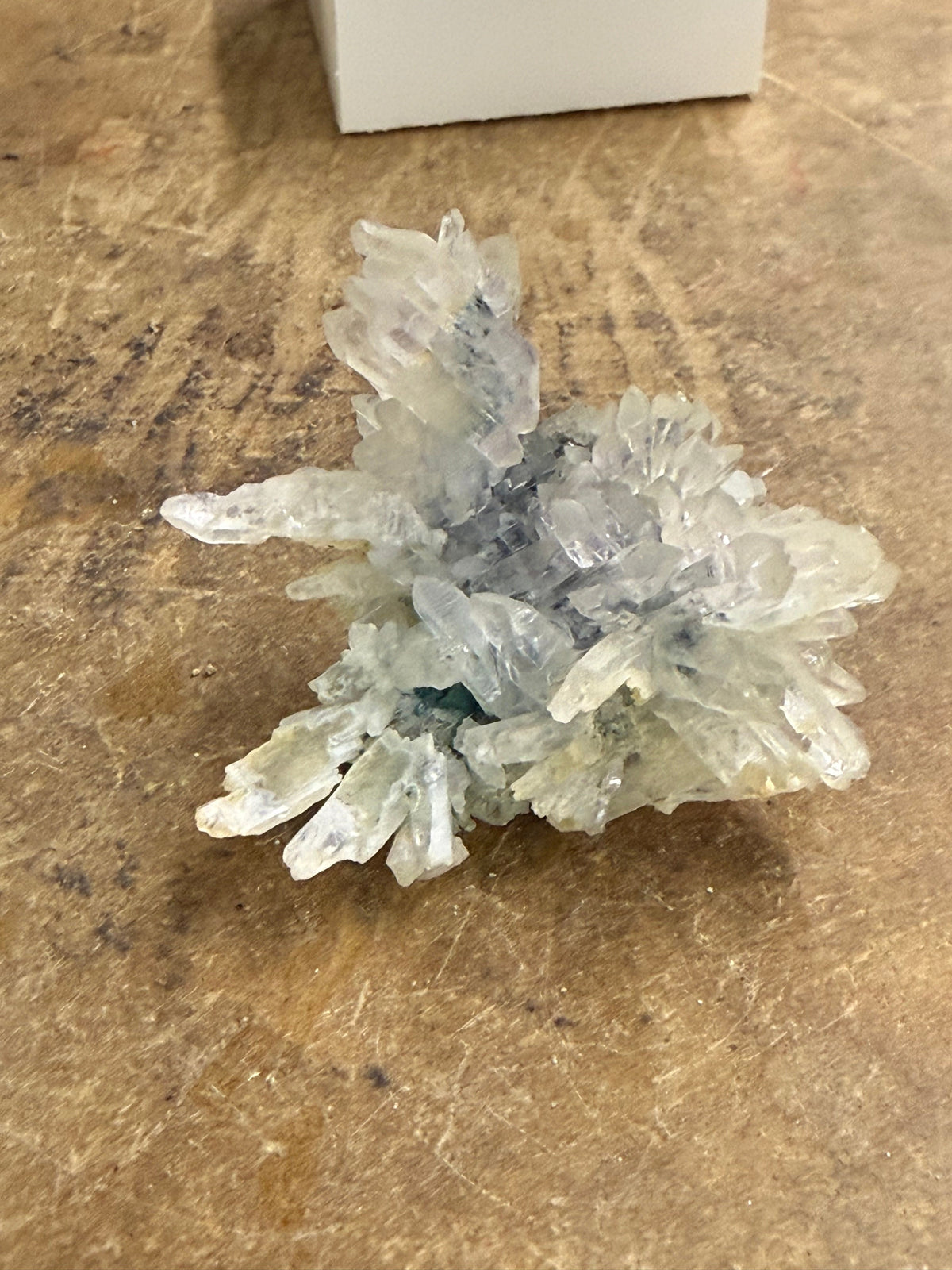 Amethyst Flower, Irai RS Brazil