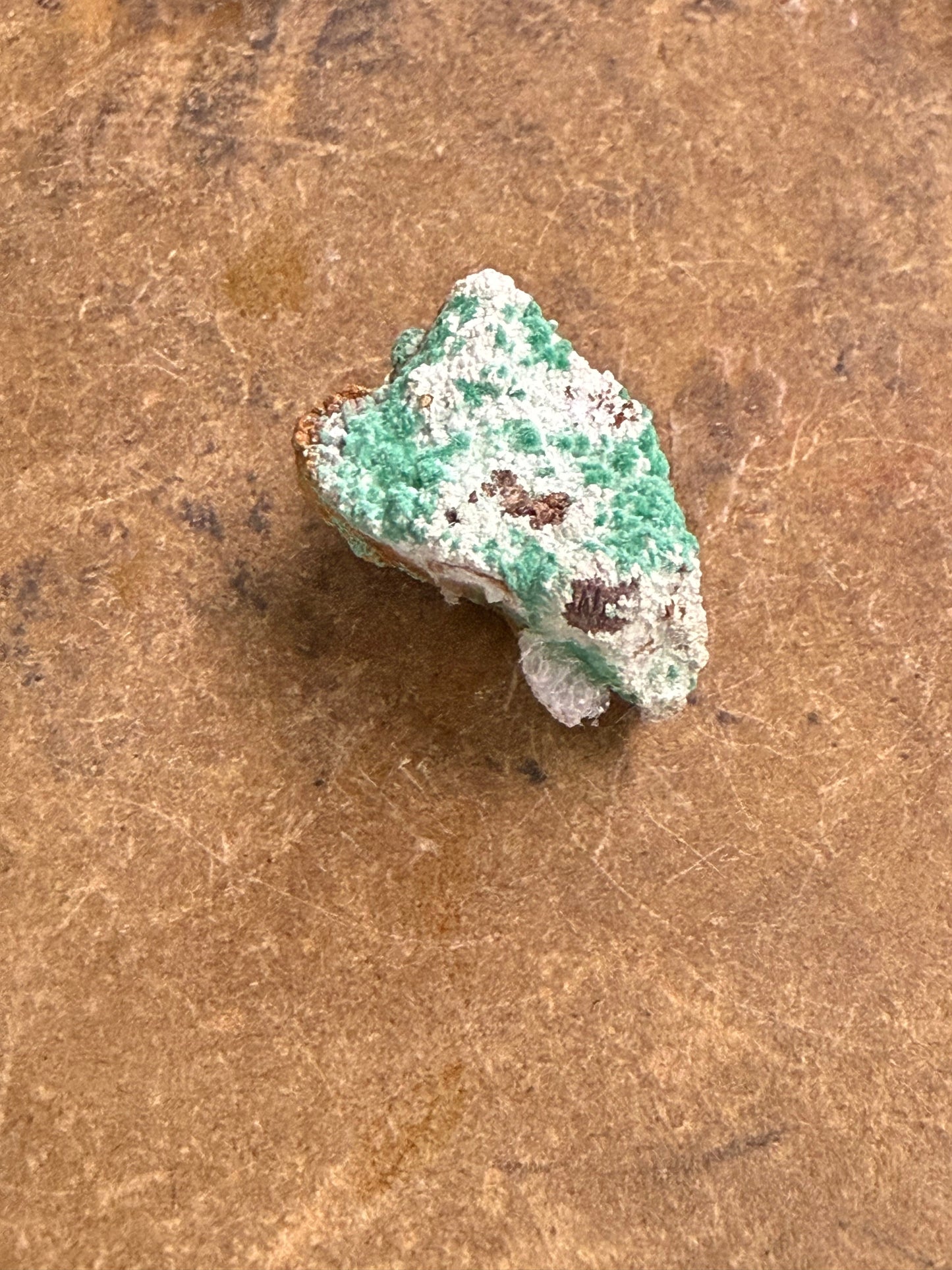 Brochantite, Socorro Co., New Mexico