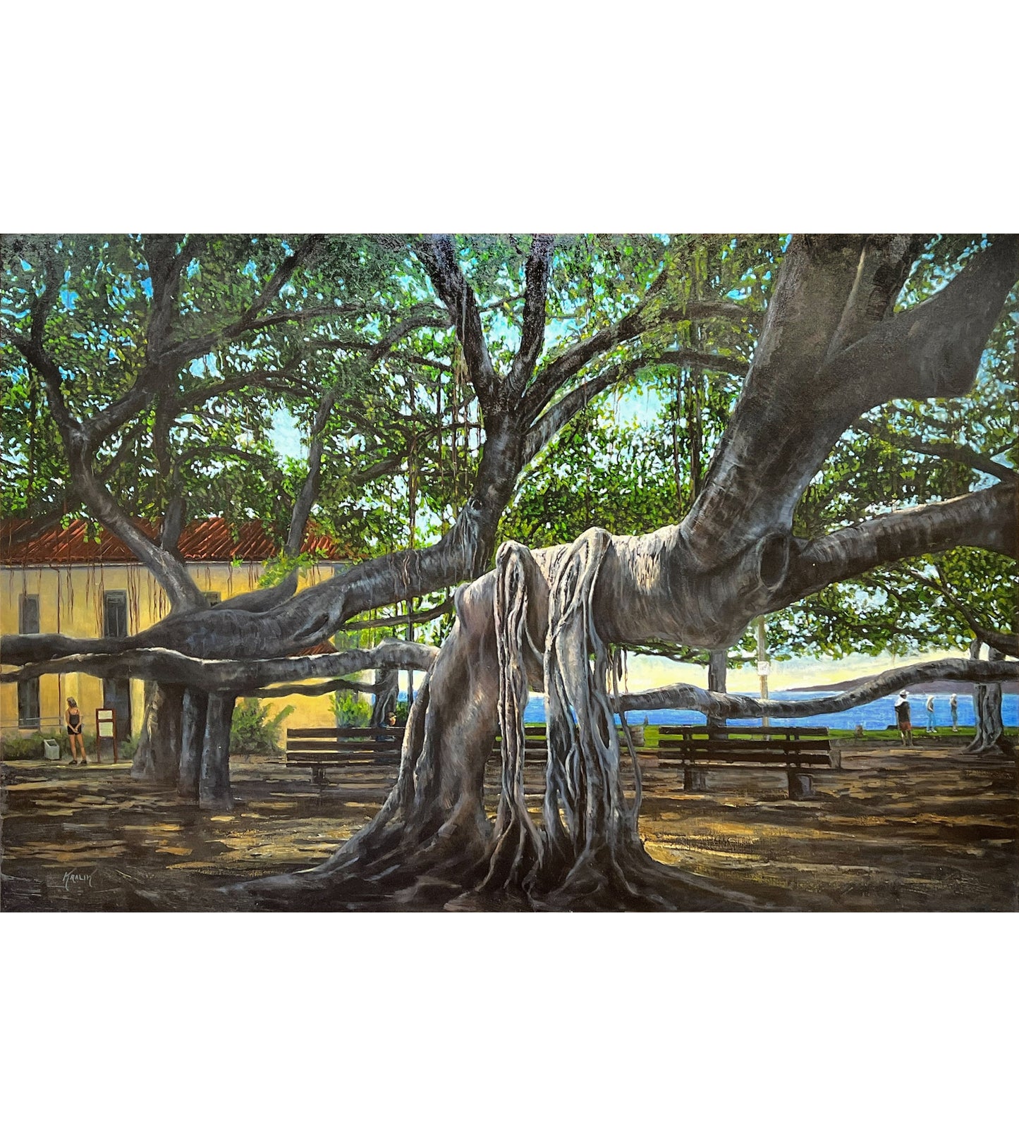 Lahaina Banyan by Brandon Kralik