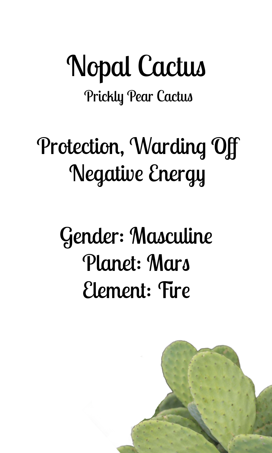 Nopal Cactus