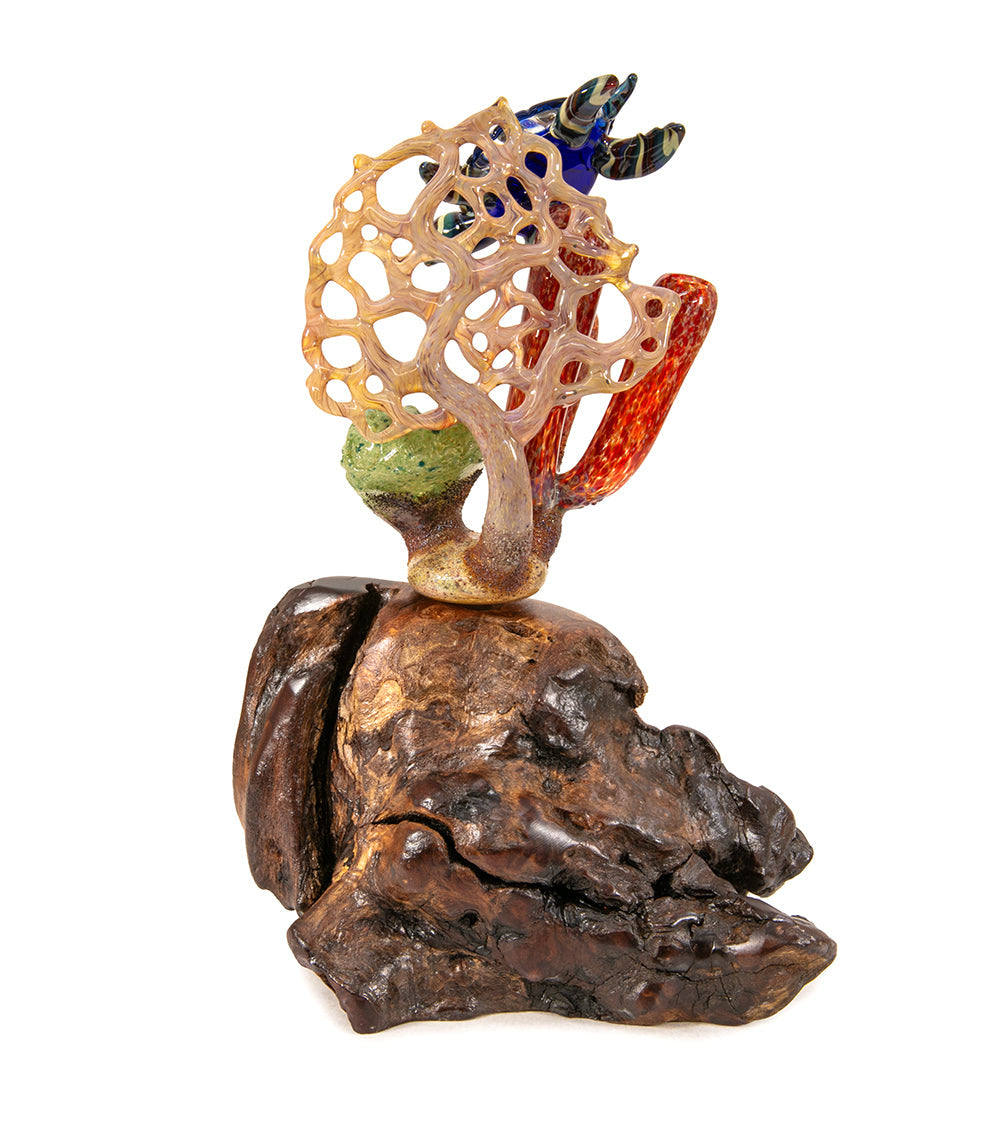 Glass "Coral Cluster with Honu" by Luke Olsen