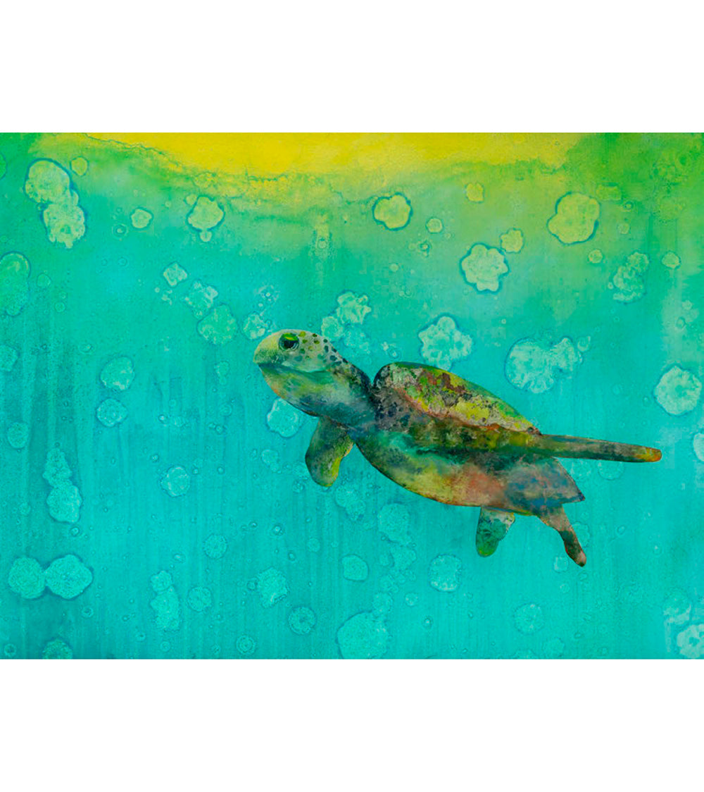 Limited Edition Acrylic Print "Sunny" by Josh Serafin