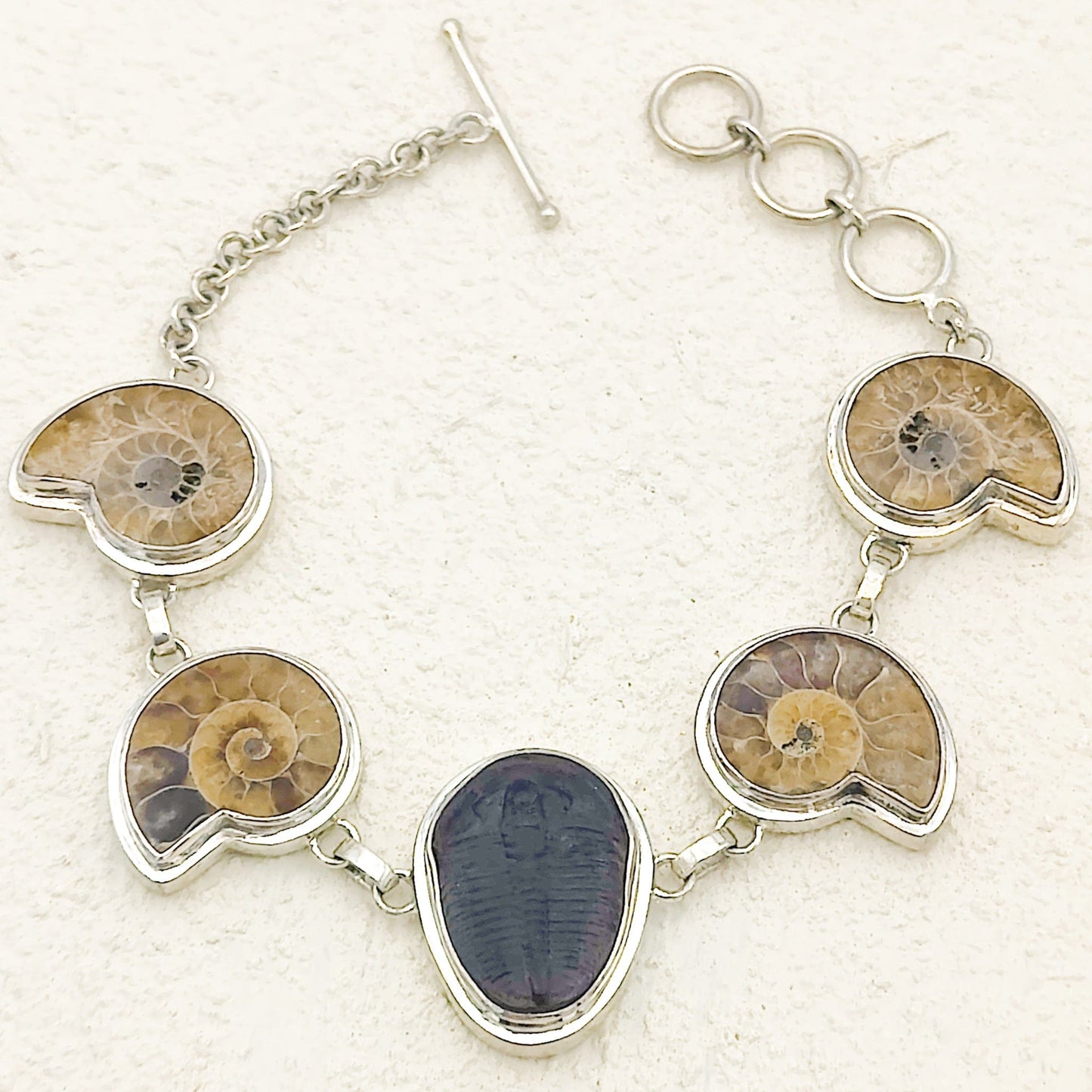 Ammonite and Trilobite Fossil Bracelet | Made with Ancient Fossils | Set in Sterling Silver