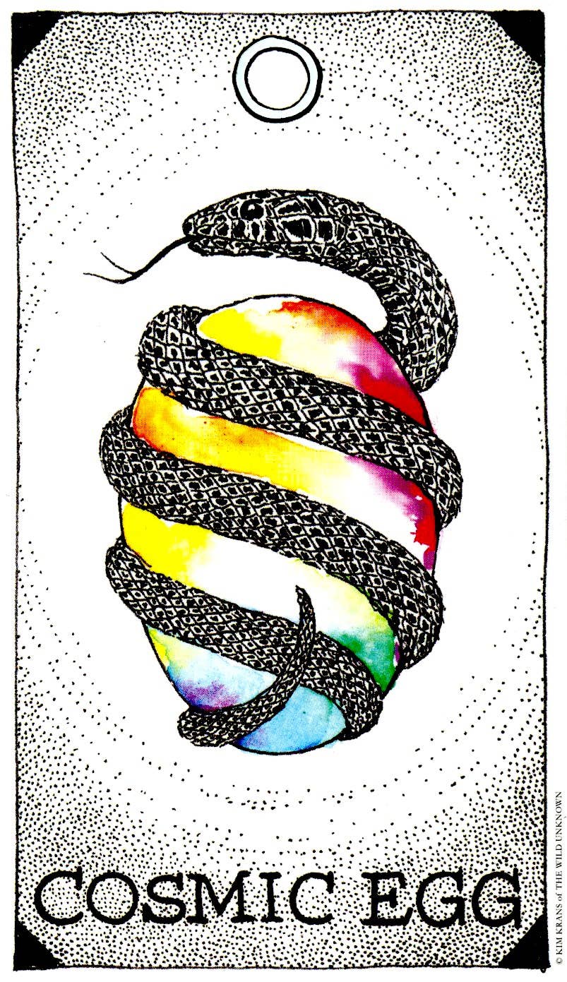 WILD UNKNOWN ANIMAL SPIRIT DECK | FULL SIZE