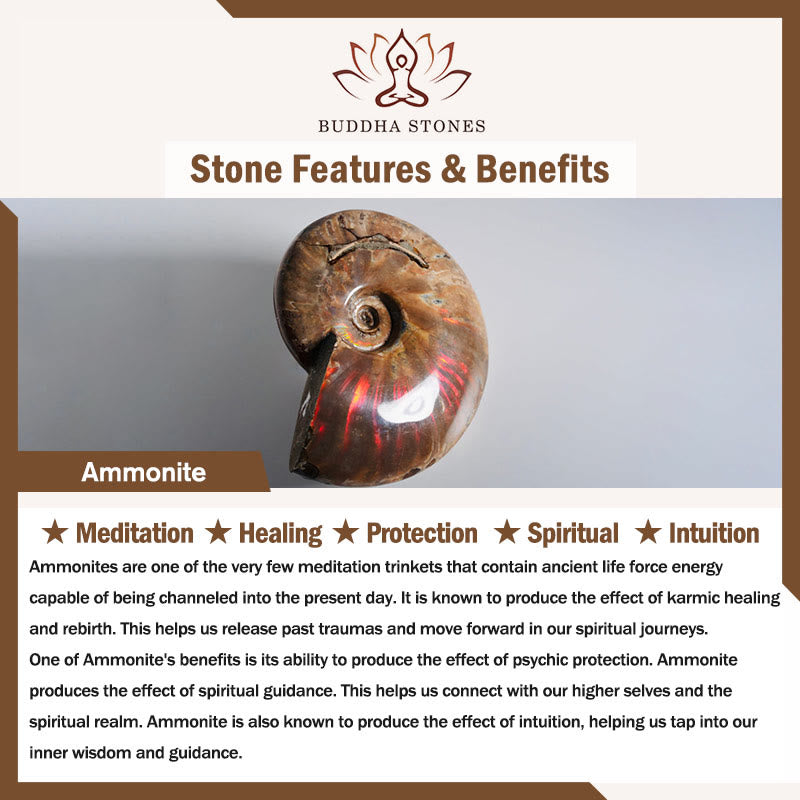 Fortune Jewel Natural Ammonite Fossil Snail Pattern Meditation Healing Necklace Pendant