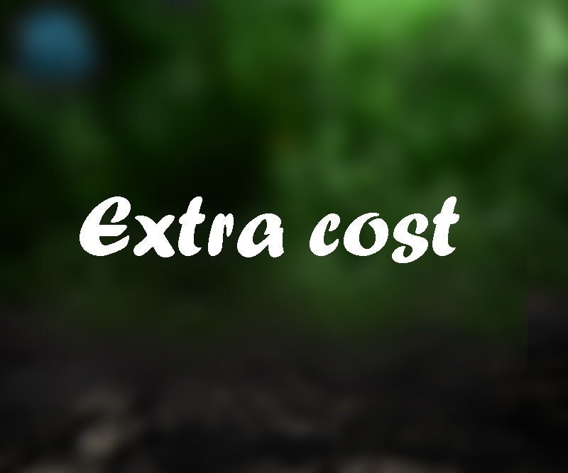 Extra cost (size 11.5)