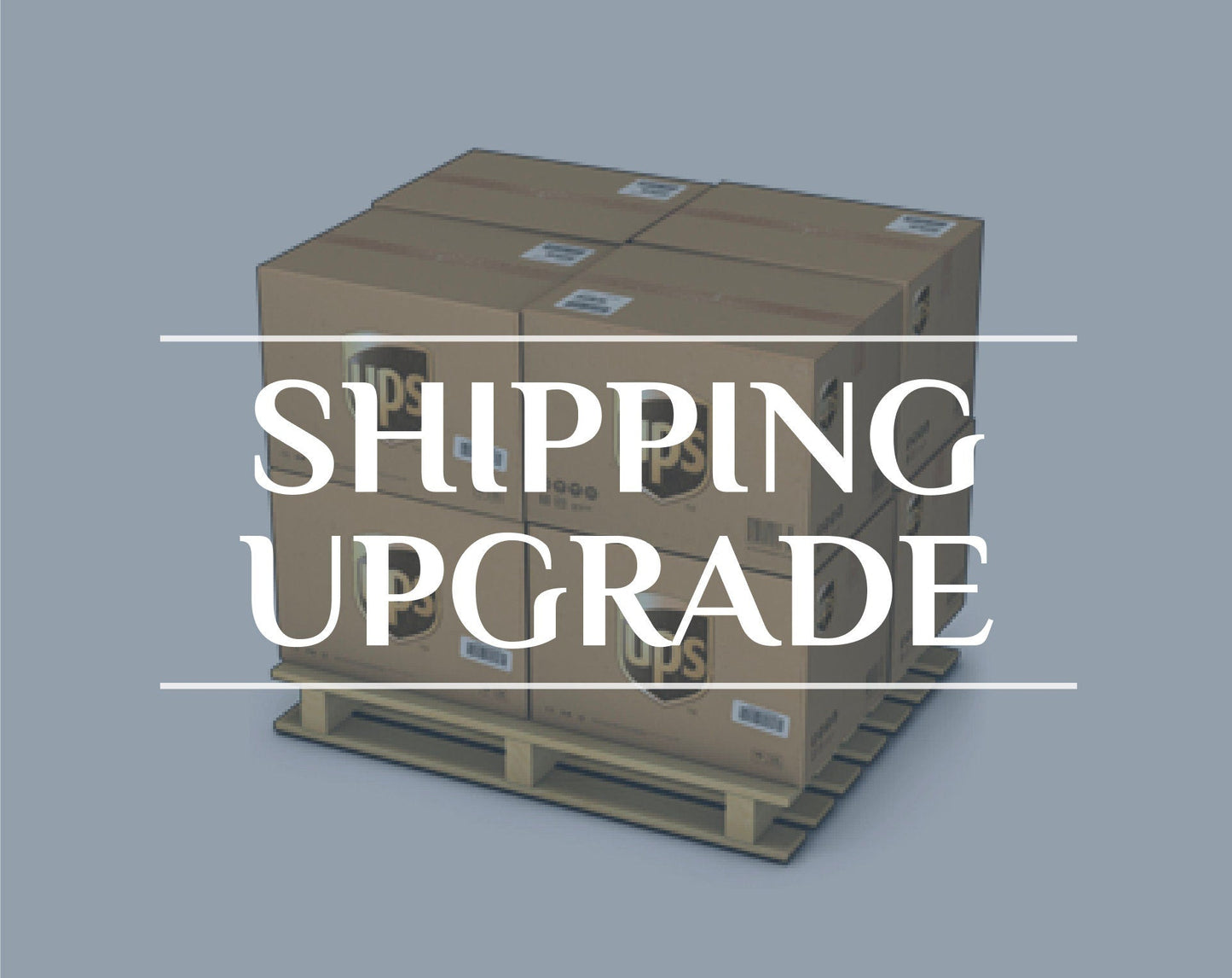 Shipping Upgrade-Overnight/Shipping Upgrade-1 Day