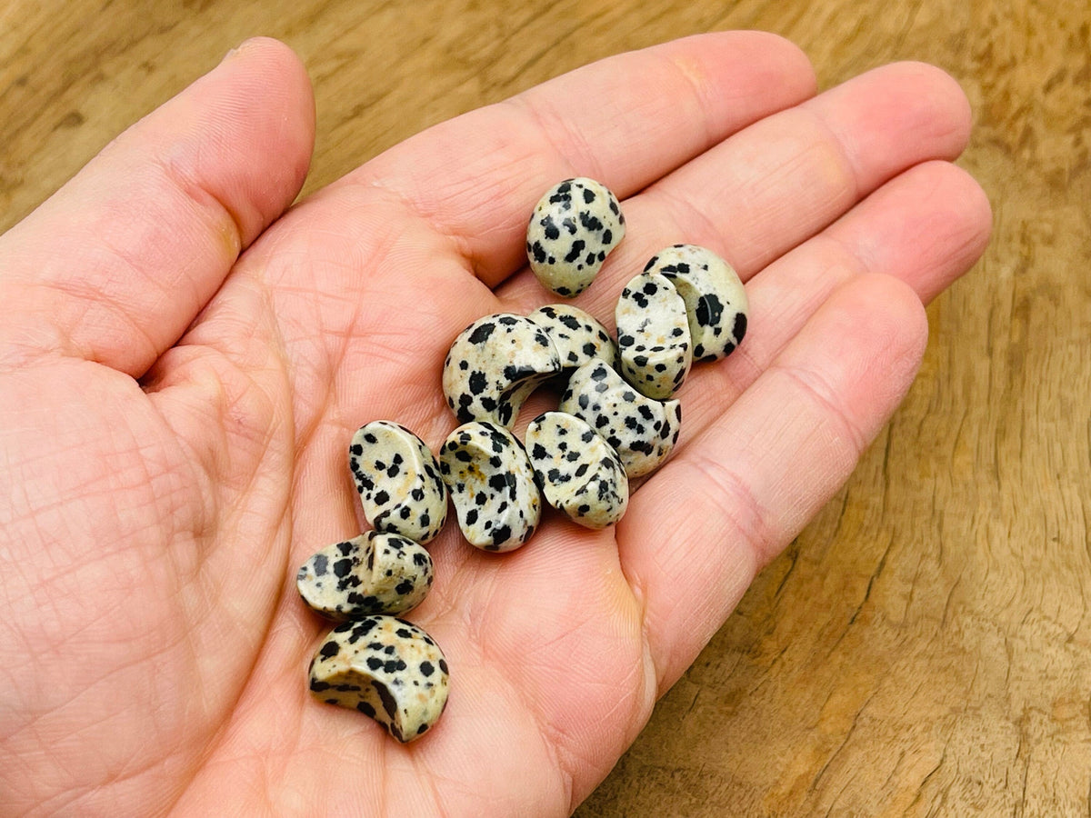 Dalmatian Jasper Gemstone Moon Puffy - 15x9mm - MO1079
