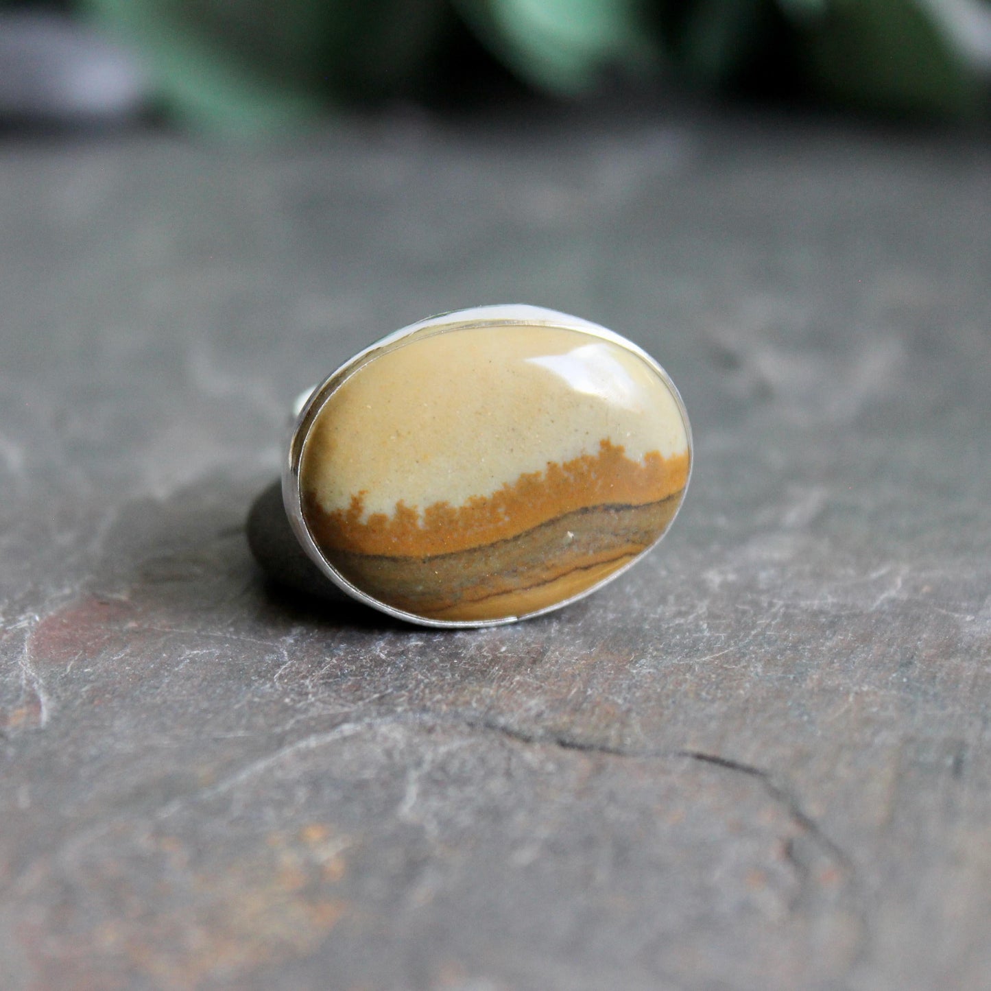 Owyhee Picture Jasper Statement Ring Size 9.25 | PNW Gemstone | Handmade Sterling Silver