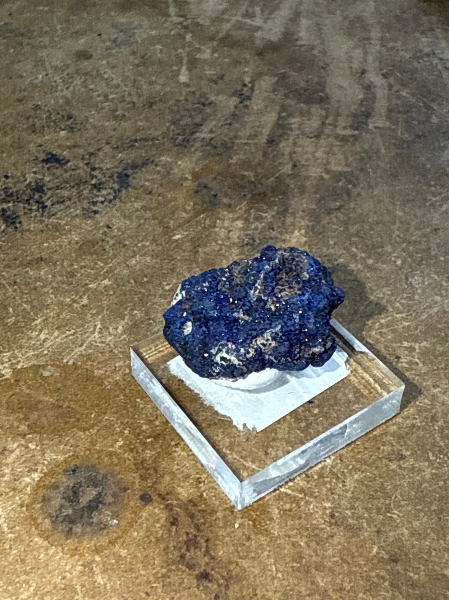 Azurite in Perky Box on Acrylic Stand