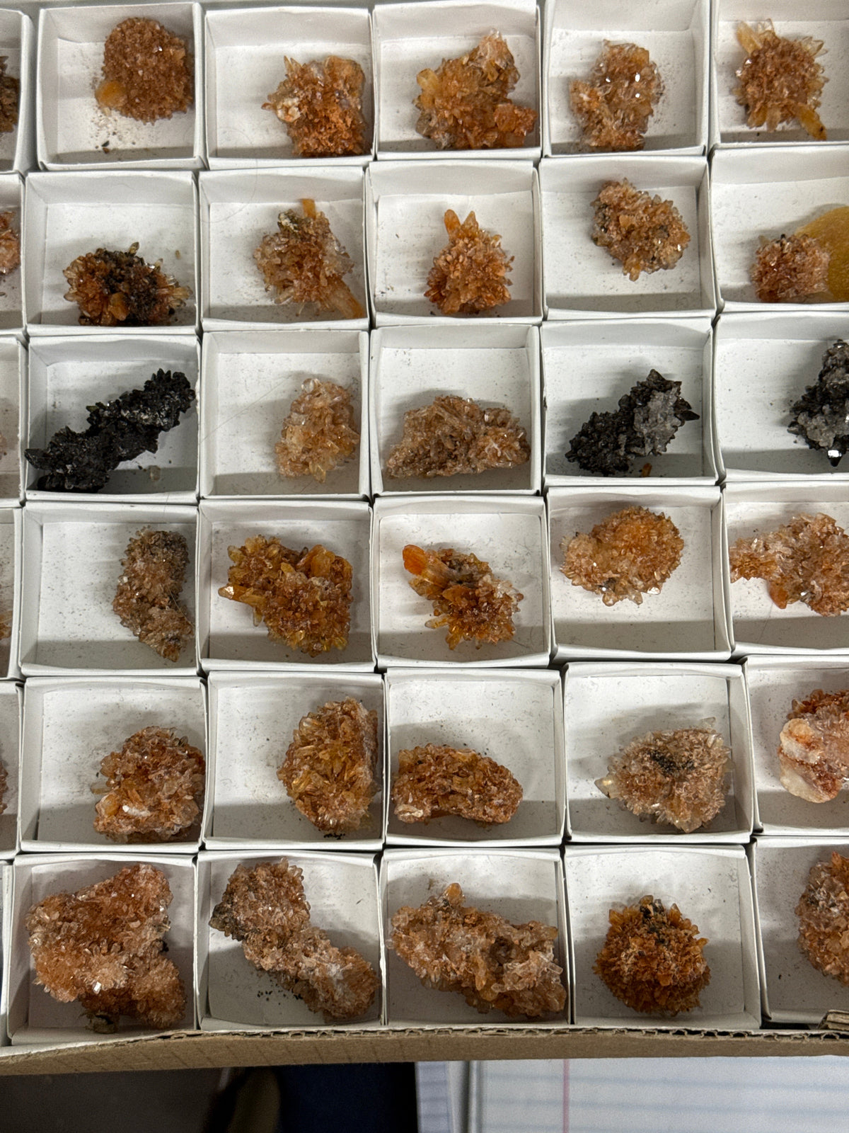 Creedite (Random)