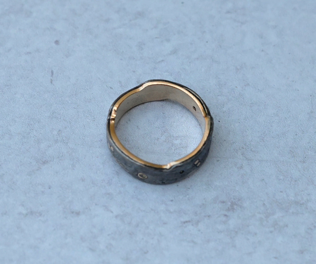 Meteorite 14k Gold Dot & Sapphire Ring - Made To Order