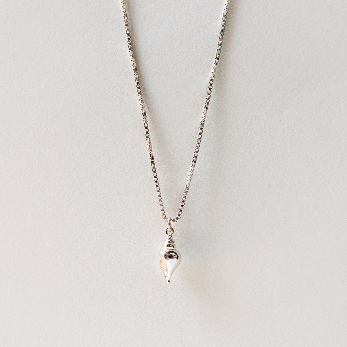 🎁 TULIP SHELL CHARM (100% off)