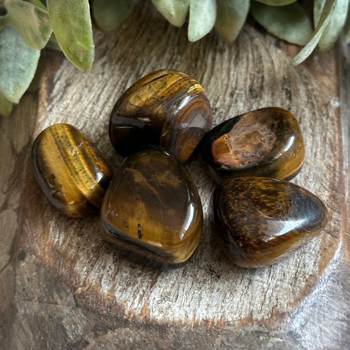 Tiger's Eye Touch Stone