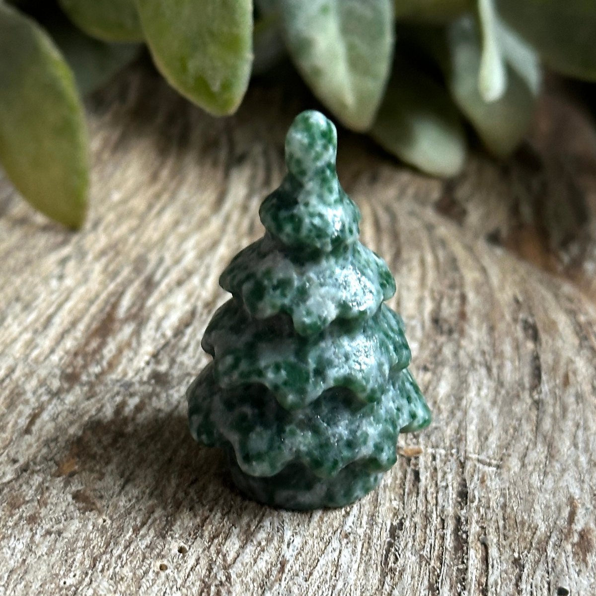 Tree Agate