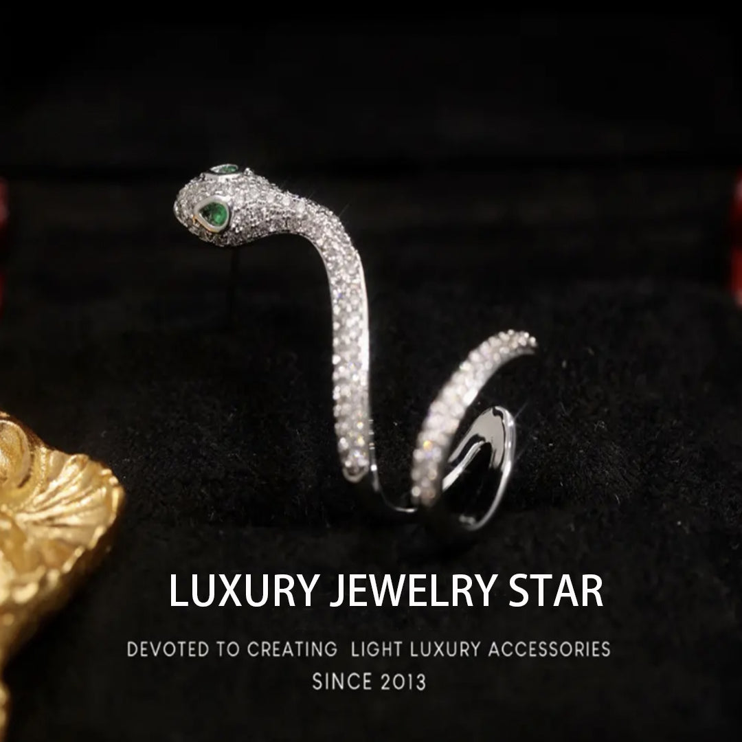 【New Arrival】Alloy temperament designer style snake-shaped surround ear stud