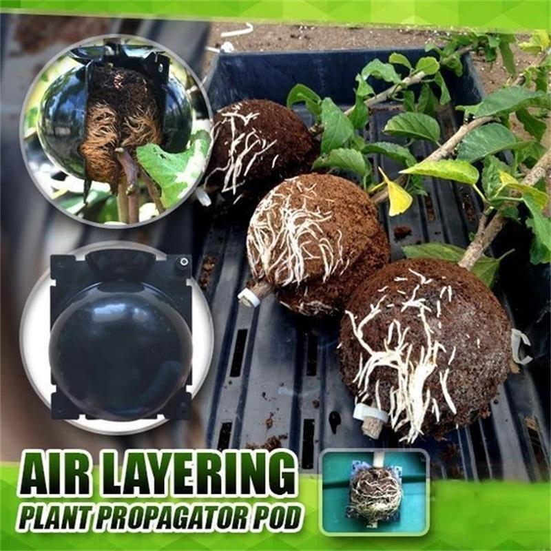 5PCS Plant Root Growth Box