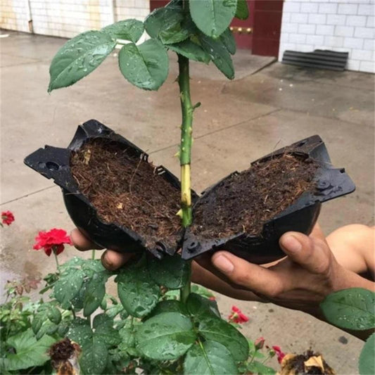 5PCS Plant Root Growth Box