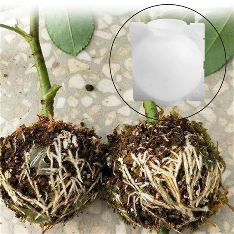 5PCS Plant Root Growth Box