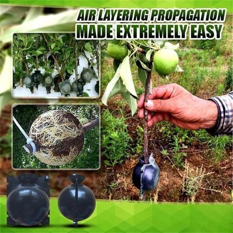 5PCS Plant Root Growth Box