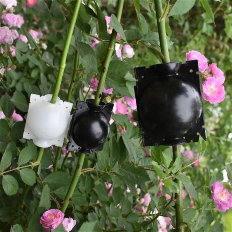 5PCS Plant Root Growth Box