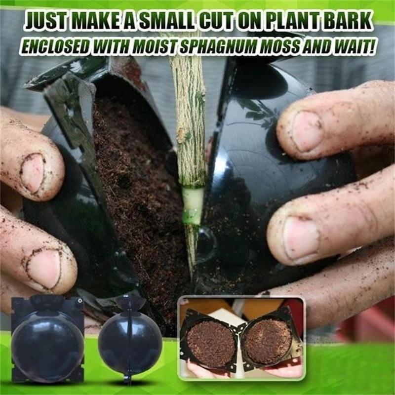 5PCS Plant Root Growth Box