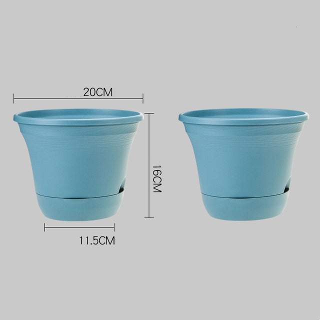 Automatic Water-Absorbing Flowerpot (Buy 1 Get 1 Free)