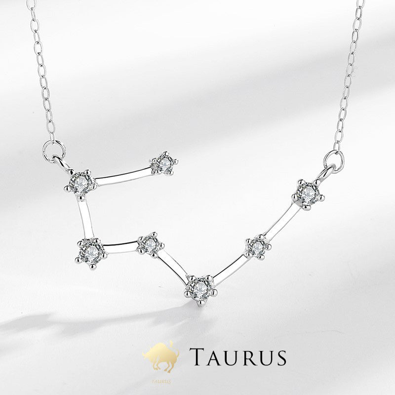 Fortune Jewel 925 Sterling Silver 12 Constellations of the Zodiac Astrology Blessing Necklace Pendant