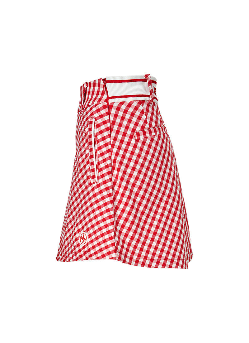 Check Flare Skirt