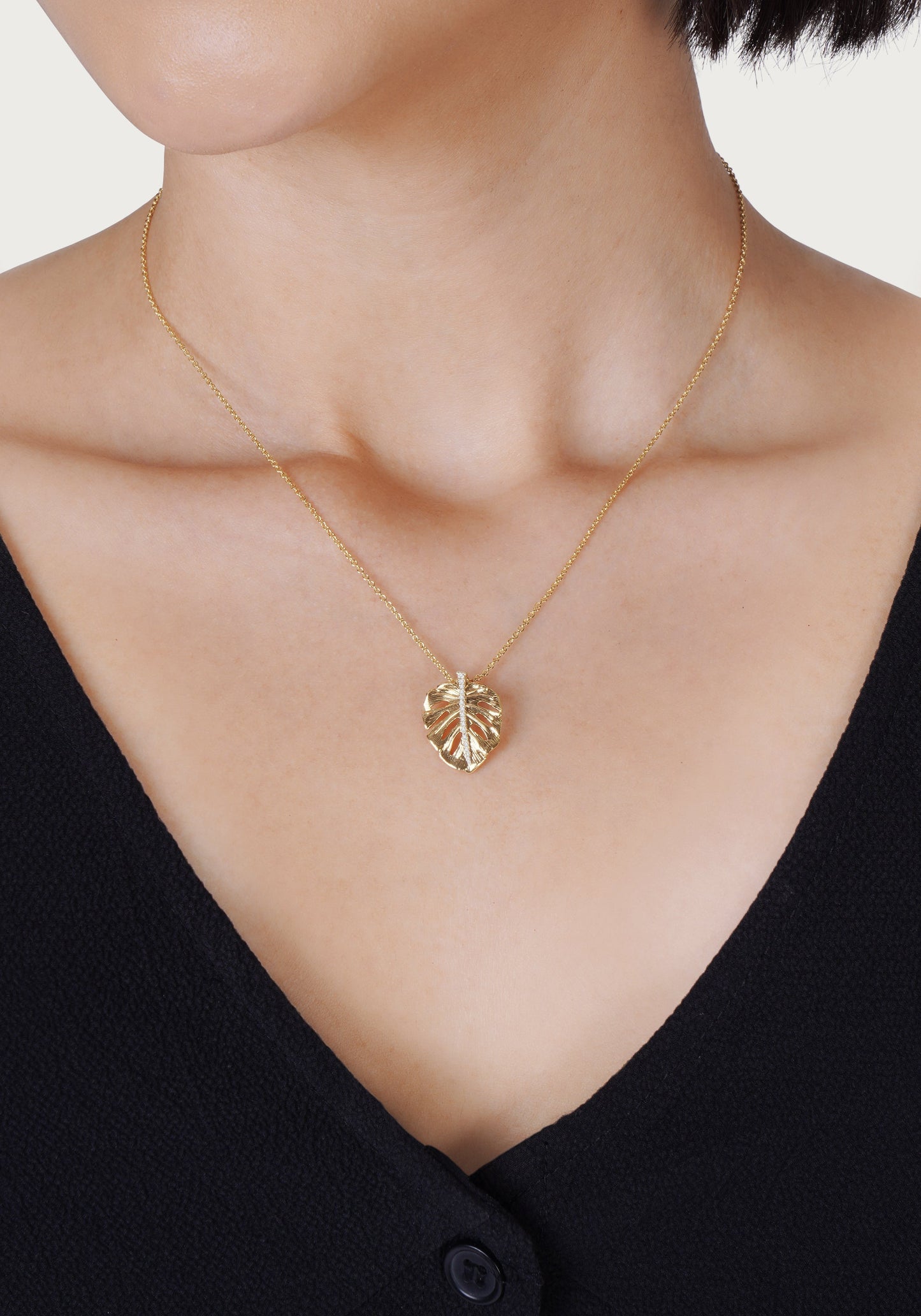 Monstera Palm Charm, Small