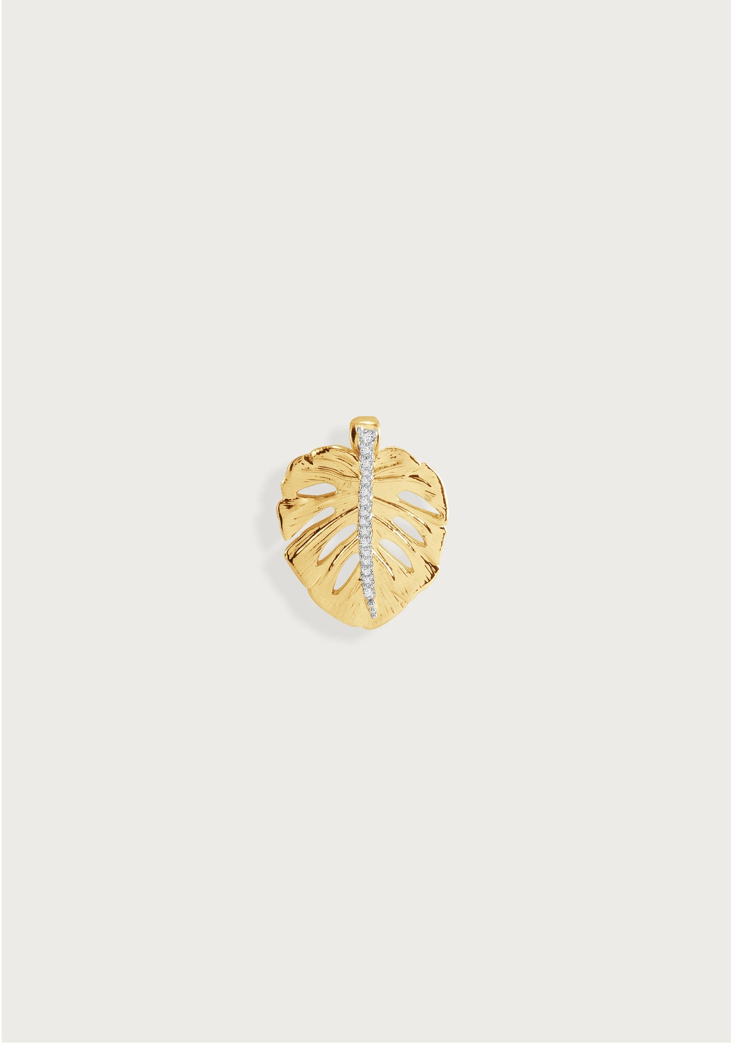 Monstera Palm Charm, Small