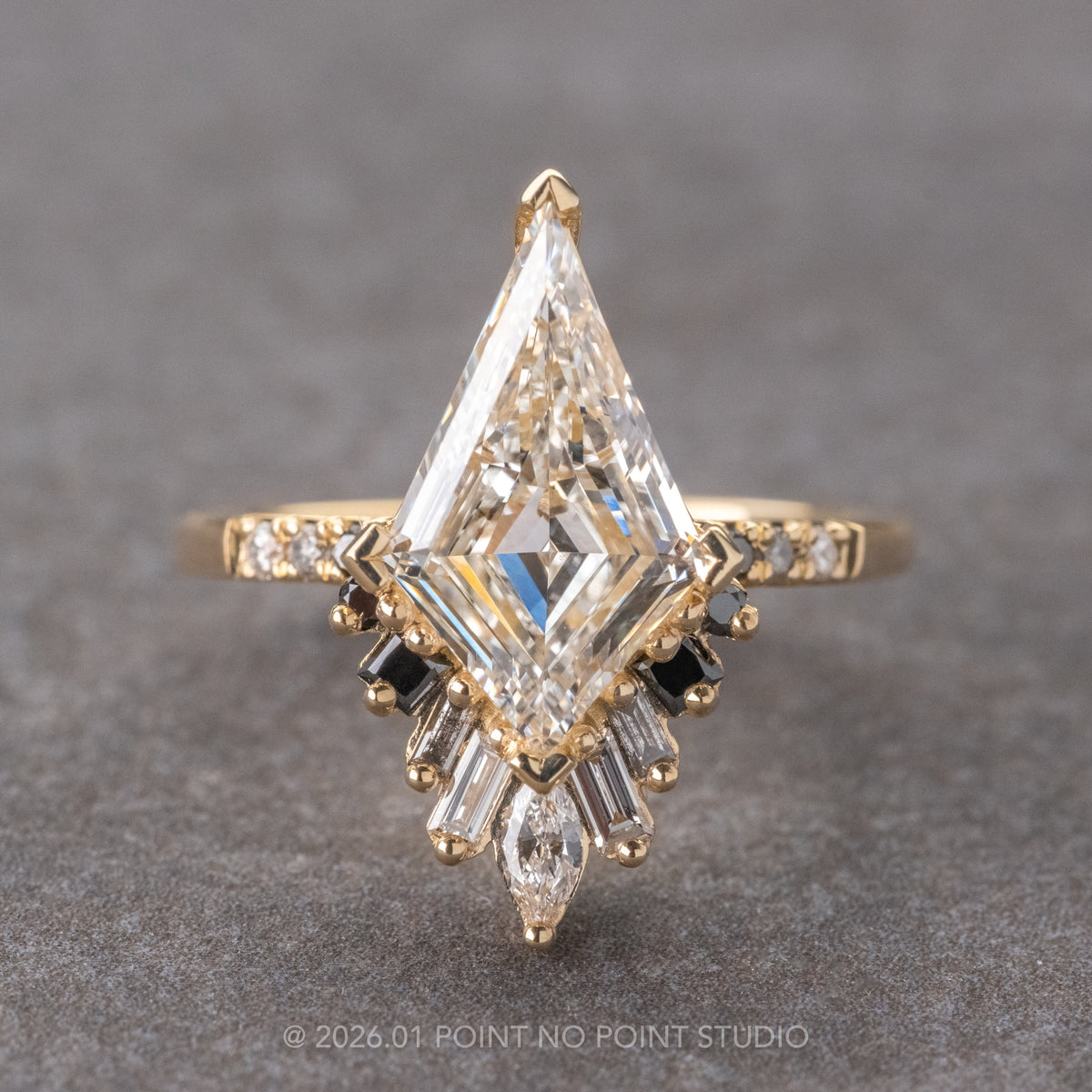 Kite Moissanite and Diamond Engagement Ring, Ombre Wren Setting