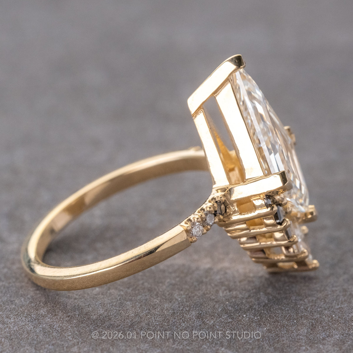 Kite Moissanite and Diamond Engagement Ring, Ombre Wren Setting