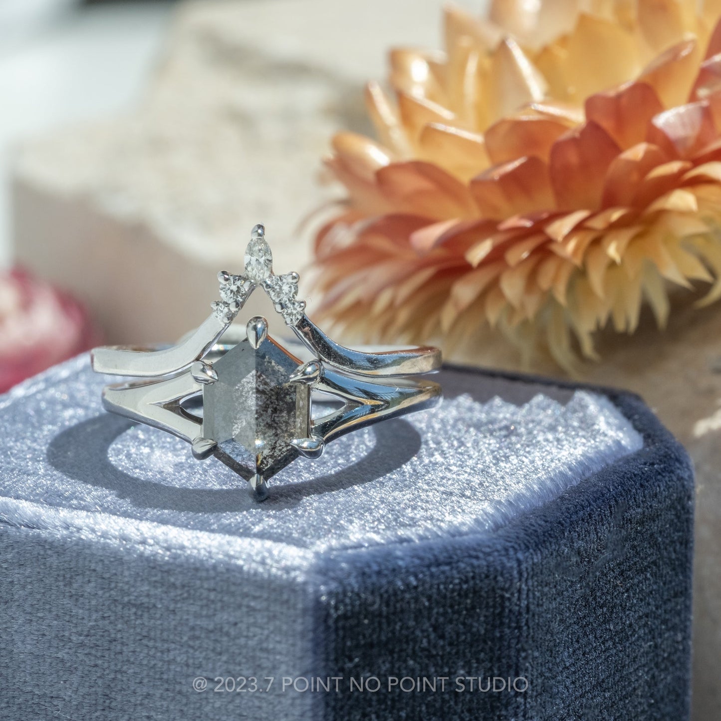 1.37 Carat Black Salt and Pepper Hexagon Diamond Engagement Ring, Split Shank Jane