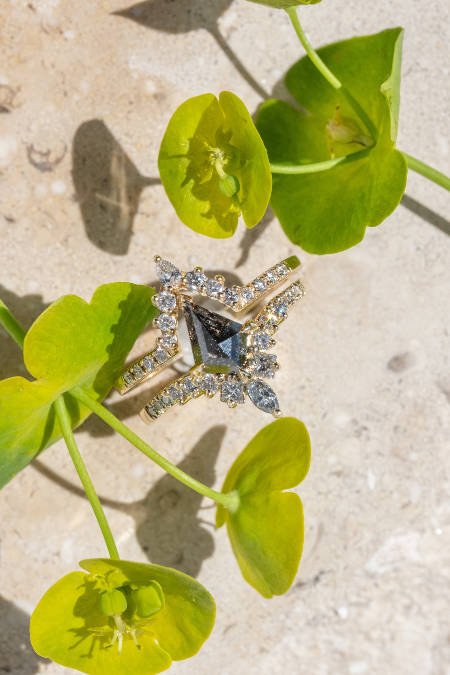 1 Carat Black Salt and Pepper Kite Diamond Engagement Ring, Willa Setting