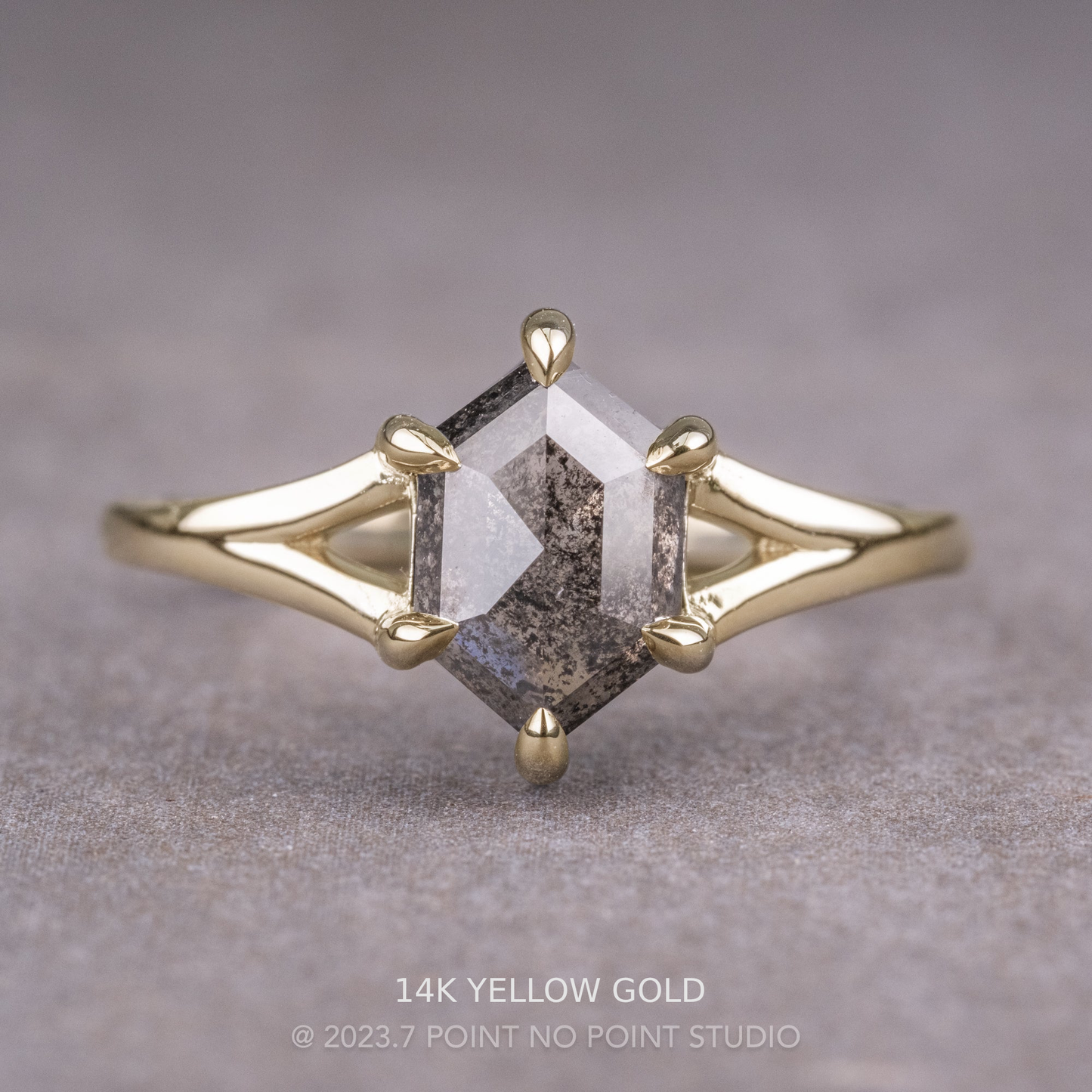 1.37 Carat Black Salt and Pepper Hexagon Diamond Engagement Ring, Split Shank Jane